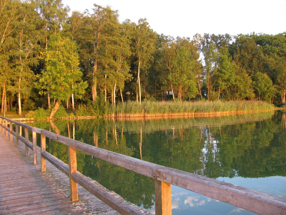 Seeblick III Bad Saarow Kültér fotó