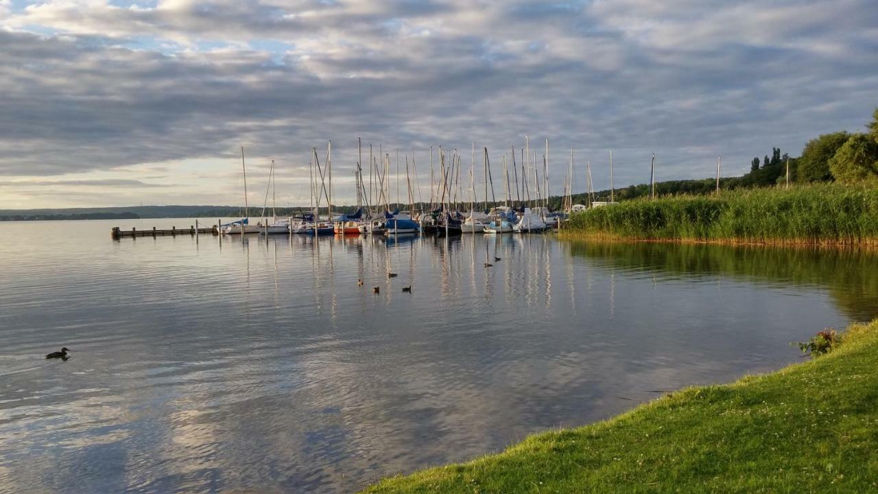 Seeblick III Bad Saarow Kültér fotó