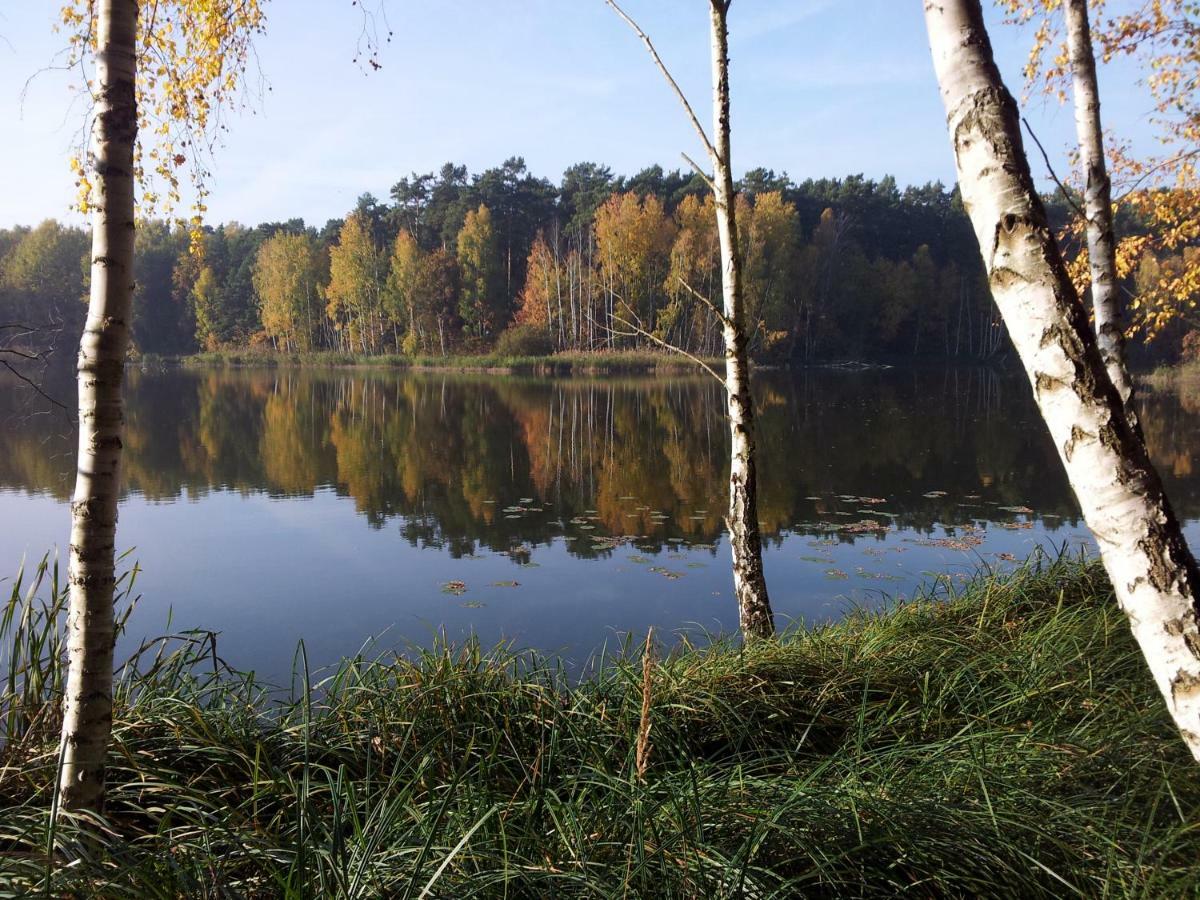 Seeblick III Bad Saarow Kültér fotó